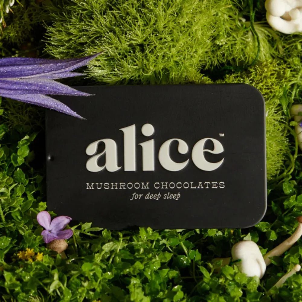 Nightcap – Mushroom Chocolates - My Store